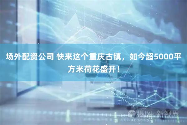 场外配资公司 快来这个重庆古镇，如今超5000平方米荷花盛开！